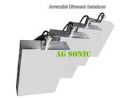 Convenient Immersible Ultrasonic Transducer With High Intensity And Efficiency